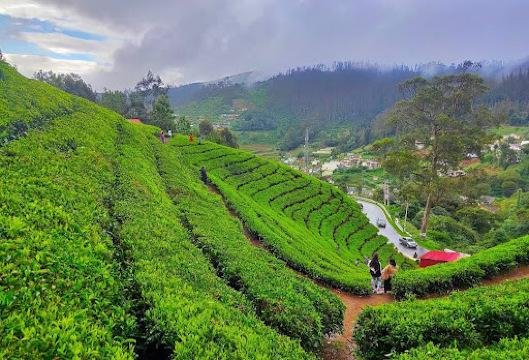 Ooty